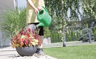 KONEWKA PLASTIKOWA 14L SPRING - ZIELONY PROSPERPLAST