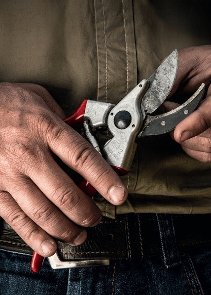 SEKATOR JEDNORĘCZNY - NOŻYCE DO PRZYCINANIA FELCO SEKATOR JEDNORĘCZNY - NOŻYCE DO PRZYCINANIA FELCO
