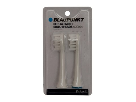 KOŃCÓWKI DO SZCZOTECZKI DO DTS701/DTS5601 2SZT. ACC024 BLAUPUNKT KOŃCÓWKI DO SZCZOTECZKI DO DTS701/DTS5601 2SZT. ACC024 BLAUPUNKT