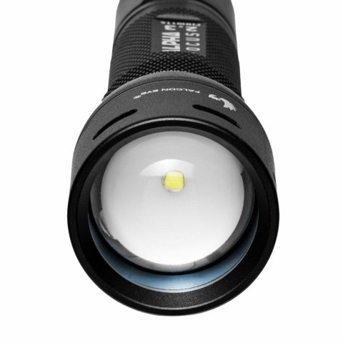 LATARKA RĘCZNA FALCON EYE Z FOKUSEM 3*AAA 300LM FALCON EYE LATARKA RĘCZNA FALCON EYE Z FOKUSEM 3*AAA 300LM FALCON EYE