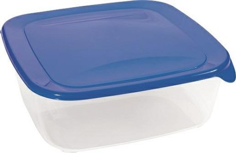 CURVER POJEMNIK NA ŻYWNOŚĆ "FRESH&GO" KWADRATOWY 0,25L /NIEBIESKI/ TRANSPARENTNY CURVER POJEMNIK NA ŻYWNOŚĆ "FRESH&GO" KWADRATOWY 0,25L /NIEBIESKI/ TRANSPARENTNY