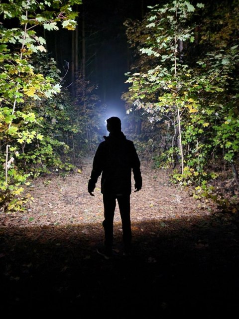 AWTOOLS BLACK LINE LATARKA CZOŁOWA TINRAY COB + CREE LED 3xAAA