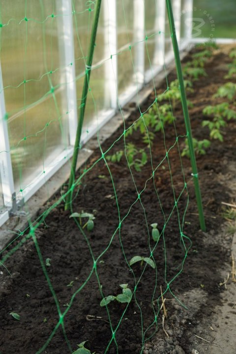 SIATKA PODPORA DO ROŚLIN PNĄCYCH PLANT NET 2x20m SIATKA PODPORA DO ROŚLIN PNĄCYCH PLANT NET 2x20m