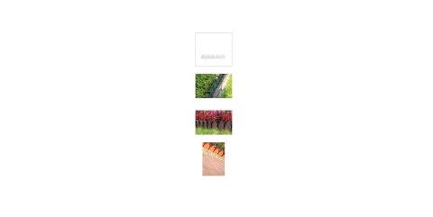 PROSPERPLAST OBRZEŻE OGRODOWE 10m GARDEN LINE ZIELONE PROSPERPLAST OBRZEŻE OGRODOWE 10m GARDEN LINE ZIELONE