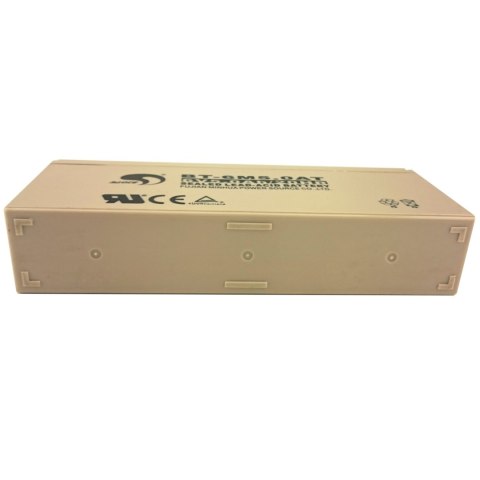 Akumulator do wagi hakowej Steinberg Systems SBS-KW-100B/R/Y 6V 5Ah Akumulator do wagi hakowej Steinberg Systems SBS-KW-100B/R/Y 6V 5Ah