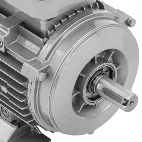 Silnik elektryczny asynchroniczny trójfazowy 2870 obr./min 230/400 V 0.75 kW Silnik elektryczny asynchroniczny trójfazowy 2870 obr./min 230/400 V 0.75 kW