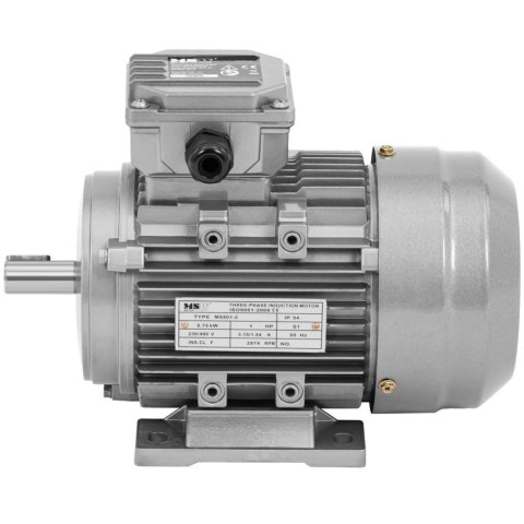Silnik elektryczny asynchroniczny trójfazowy 2870 obr./min 230/400 V 0.75 kW Silnik elektryczny asynchroniczny trójfazowy 2870 obr./min 230/400 V 0.75 kW