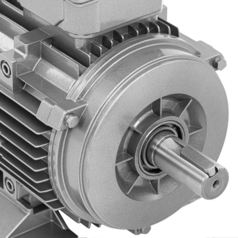 Silnik elektryczny asynchroniczny trójfazowy 2870 obr./min 230/400 V 2.2 kW Silnik elektryczny asynchroniczny trójfazowy 2870 obr./min 230/400 V 2.2 kW