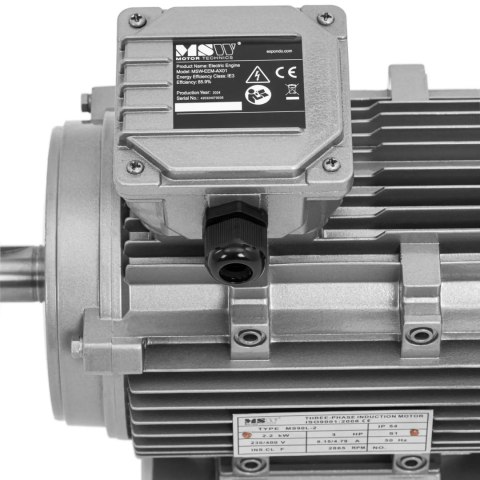 Silnik elektryczny asynchroniczny trójfazowy 2870 obr./min 230/400 V 2.2 kW Silnik elektryczny asynchroniczny trójfazowy 2870 obr./min 230/400 V 2.2 kW