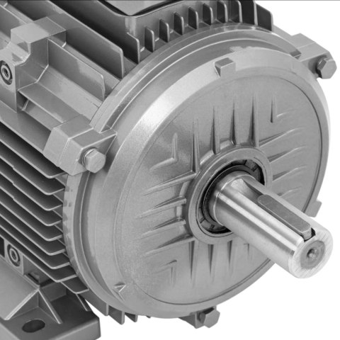 Silnik elektryczny asynchroniczny trójfazowy 2950 obr./min 230/400 V 5.5 kW Silnik elektryczny asynchroniczny trójfazowy 2950 obr./min 230/400 V 5.5 kW