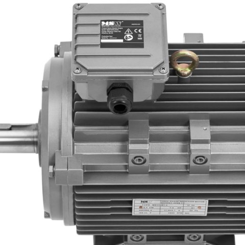 Silnik elektryczny asynchroniczny trójfazowy 2950 obr./min 230/400 V 5.5 kW Silnik elektryczny asynchroniczny trójfazowy 2950 obr./min 230/400 V 5.5 kW