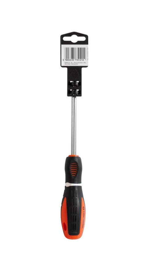 WKRĘTAK TORX SERIA M3 6*100MM T25 EPM WKRĘTAK TORX SERIA M3 6*100MM T25 EPM