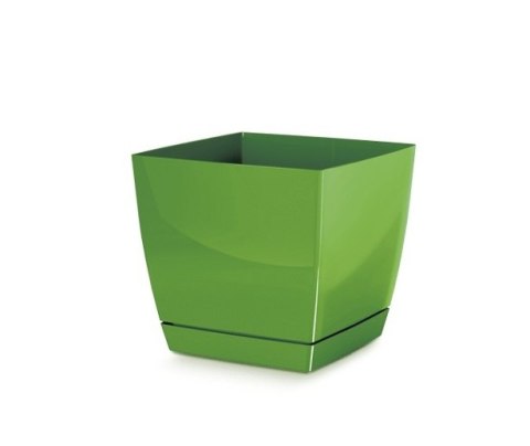 DONICZKA COUBI - OLIWKA PROSPERPLAST DONICZKA COUBI - OLIWKA PROSPERPLAST