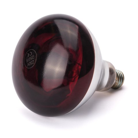 Żarówka na podczerwień do lampy do podgrzewania potraw E27 250W czerwona Żarówka na podczerwień do lampy do podgrzewania potraw E27 250W czerwona