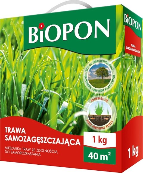 TRAWA SAMOZAGĘSZCZAJĄCA 1 KG BIOPON TRAWA SAMOZAGĘSZCZAJĄCA 1 KG BIOPON
